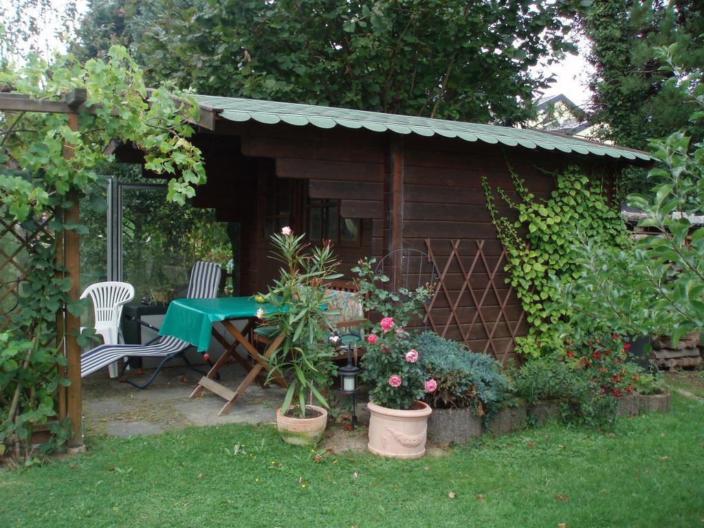 Ferienwohnung Anna Scheid Kelberg Exterior photo